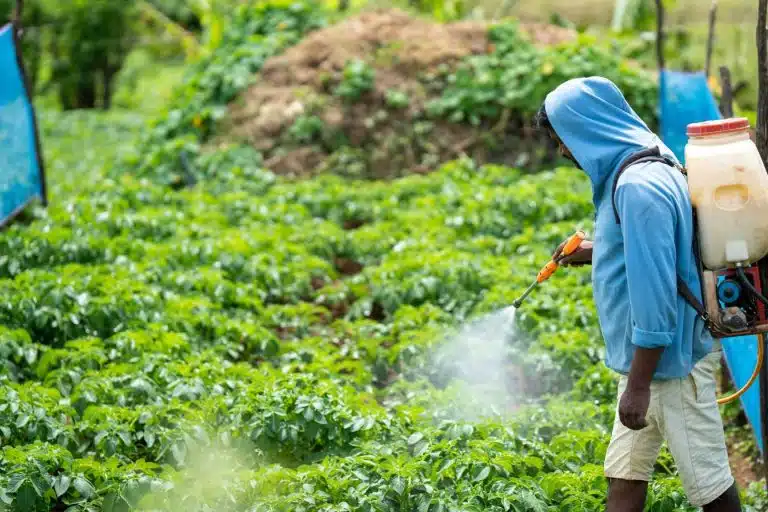 comment doser le roundup pour 1 litre d eau guide complet 1