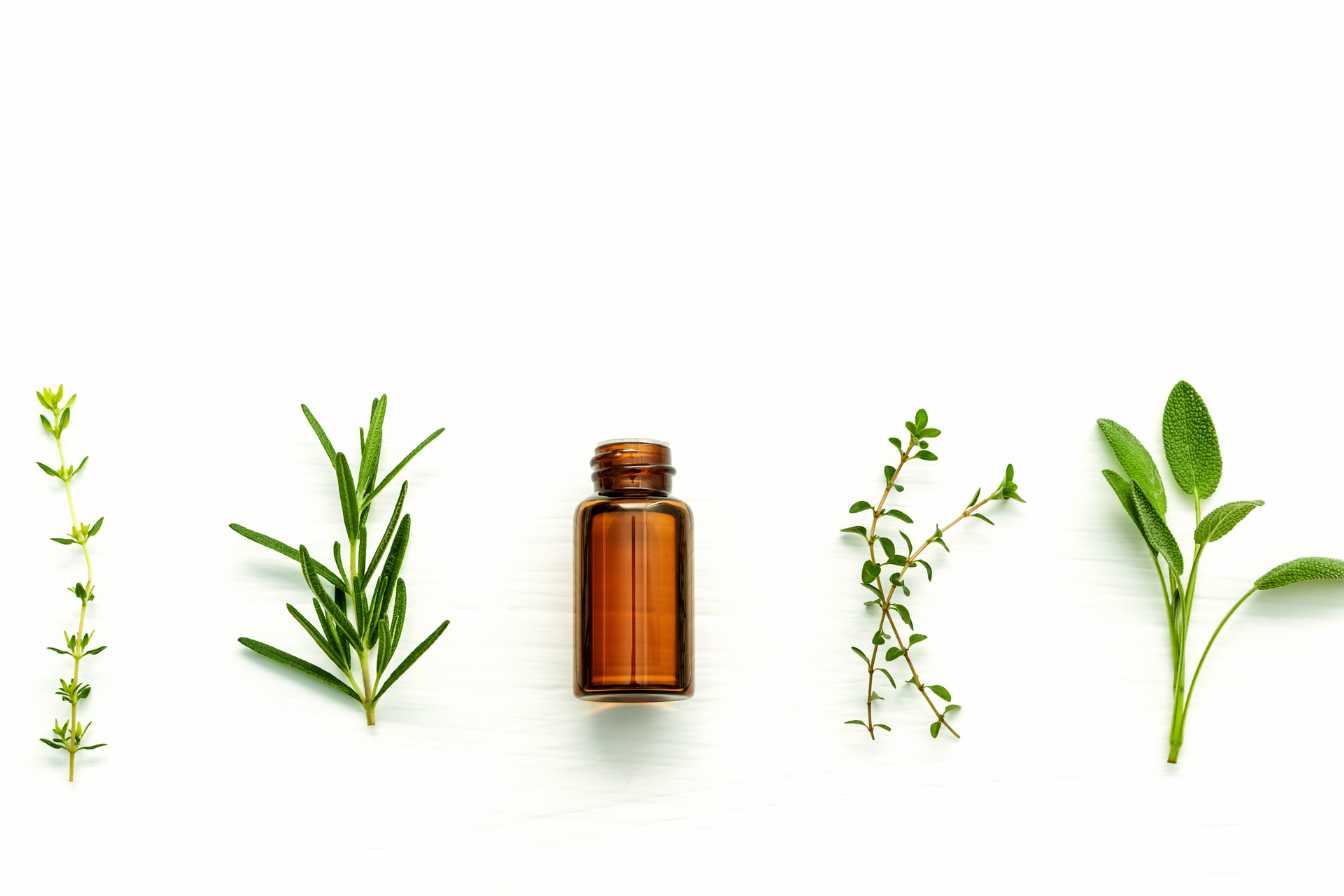 huile essentielle fourmi 1