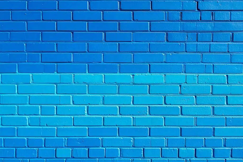 salpetre comment l identifier l eliminer et proteger vos murs definitivement 1