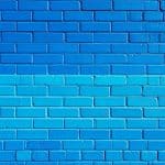 salpetre comment l identifier l eliminer et proteger vos murs definitivement 1