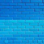 salpetre comment l identifier l eliminer et proteger vos murs definitivement 1
