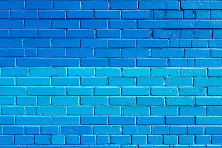 salpetre comment l identifier l eliminer et proteger vos murs definitivement 1
